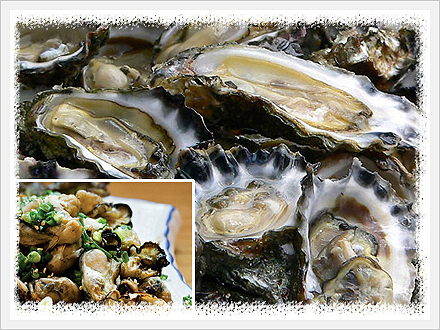 Oyster Made in Korea